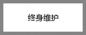 终身维护